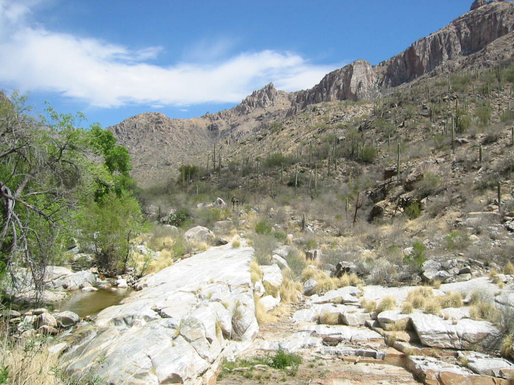 Sabino Canyon, Tuscon, Arizona